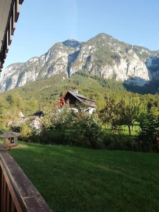 Apartamento Apartma Traumblick Obertraun Exterior foto